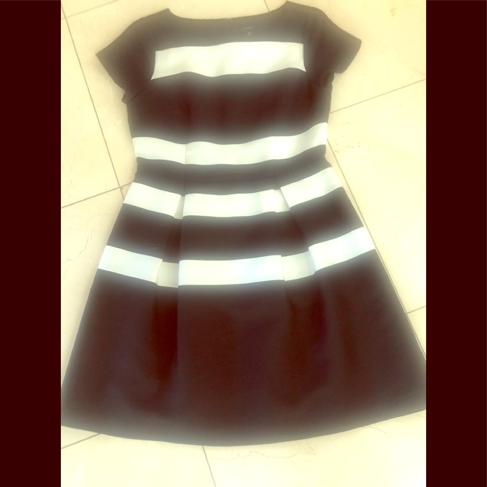 Ann Taylor Beautiful A- Line Dress